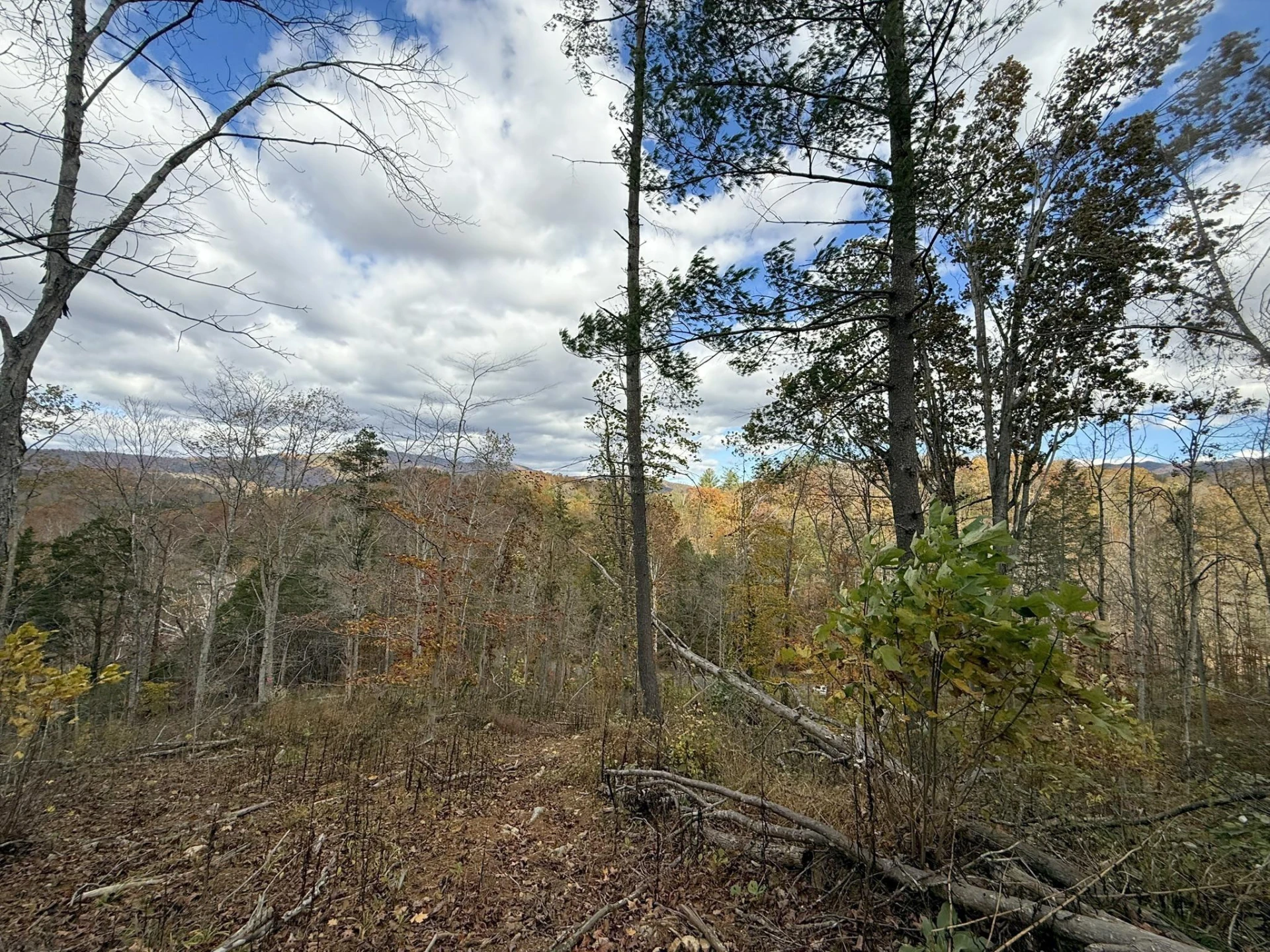 TBD Salt Petre Cave Rd - Photo 9