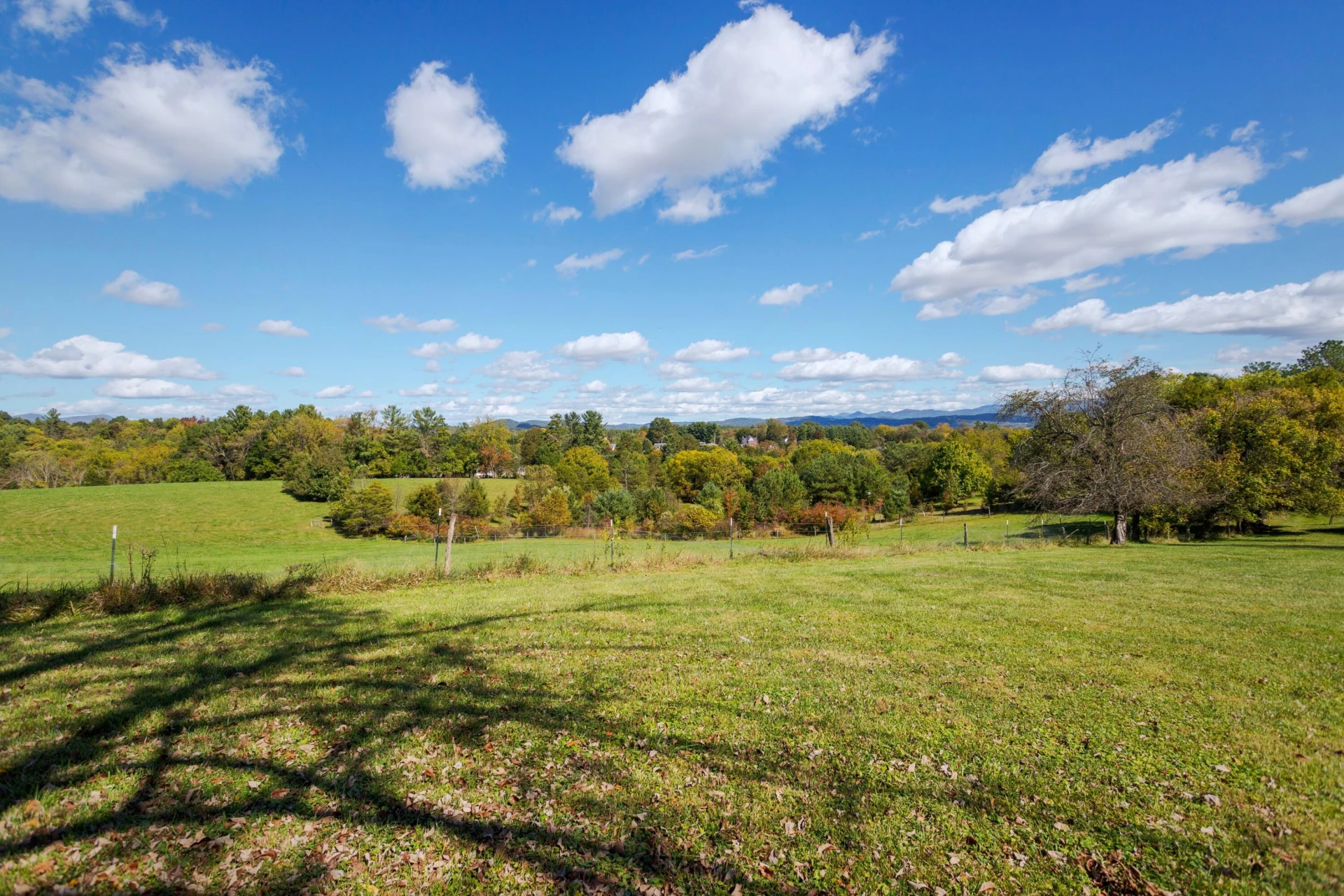 401 Enfield Rd - Photo 32
