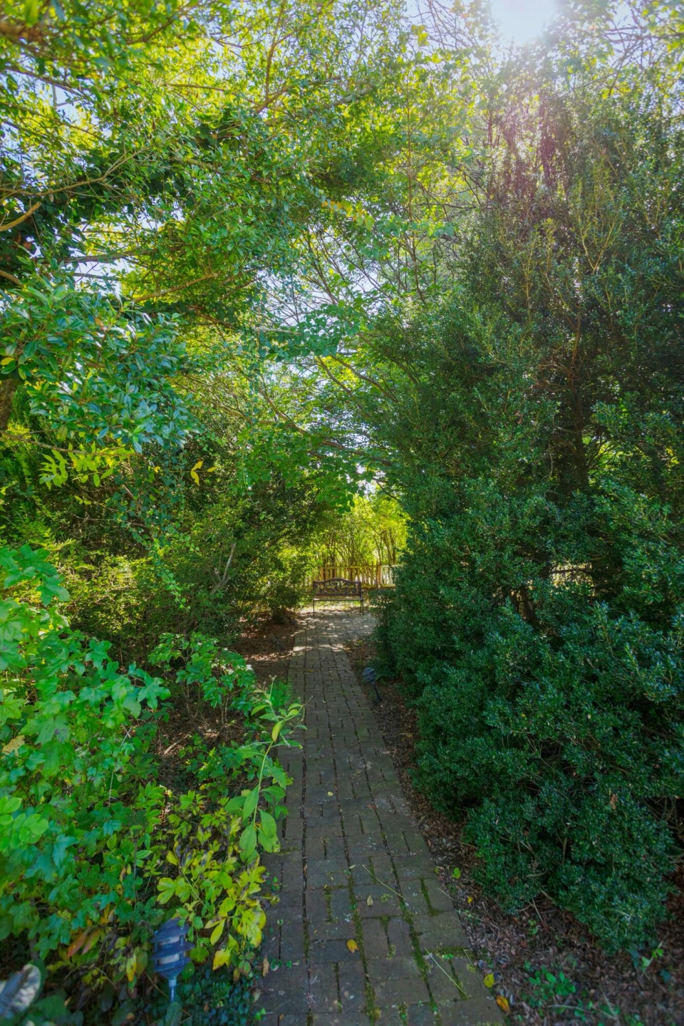 401 Enfield Rd - Photo 35