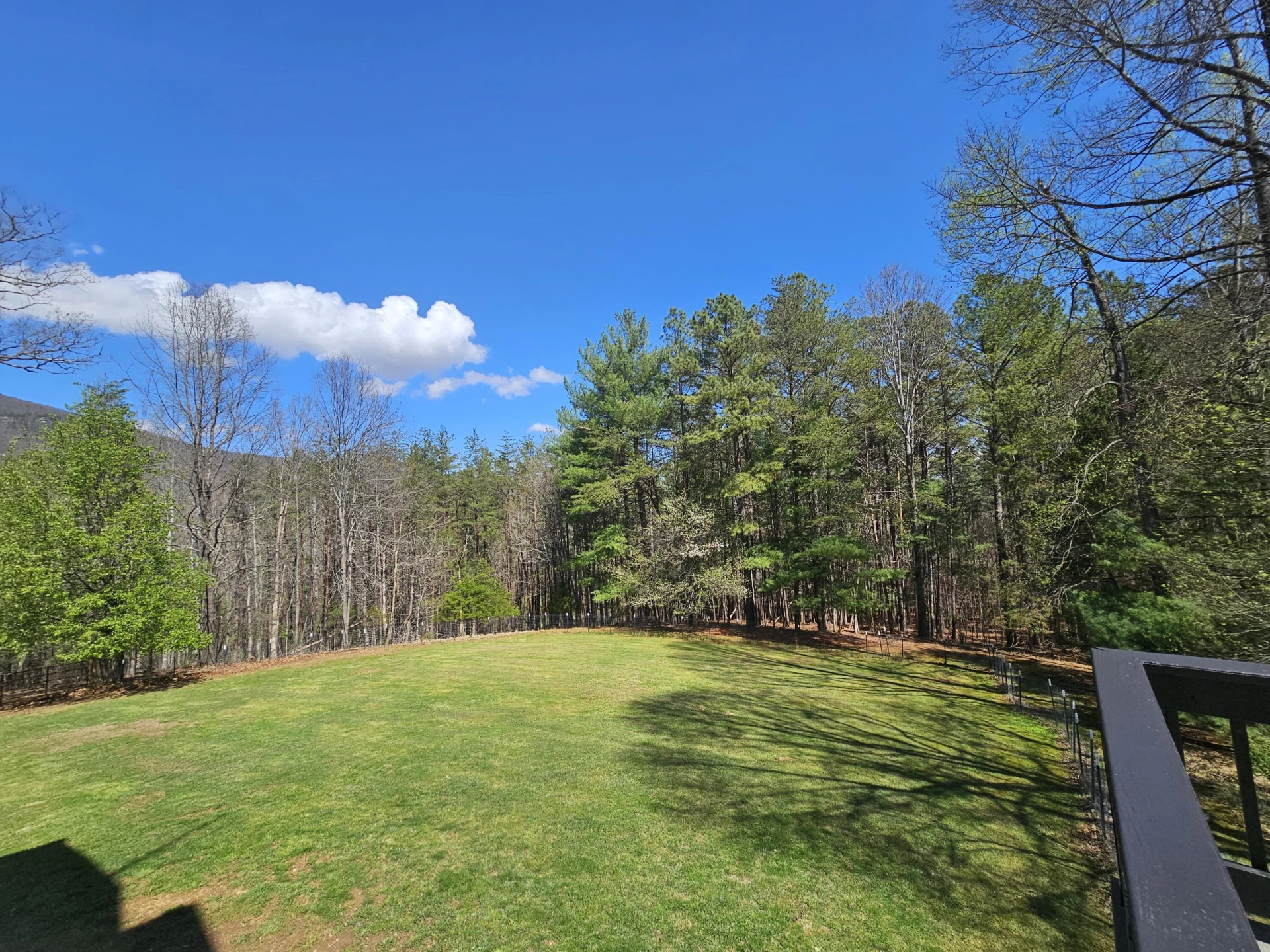 4357 Plank Rd - Photo 74
