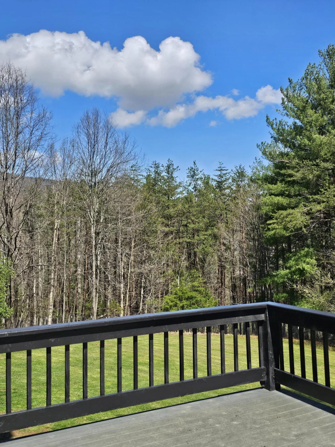 4357 Plank Rd - Photo 78