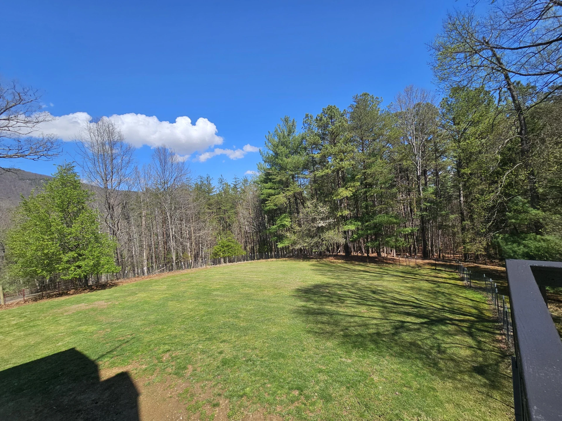 4357 Plank Rd - Photo 79