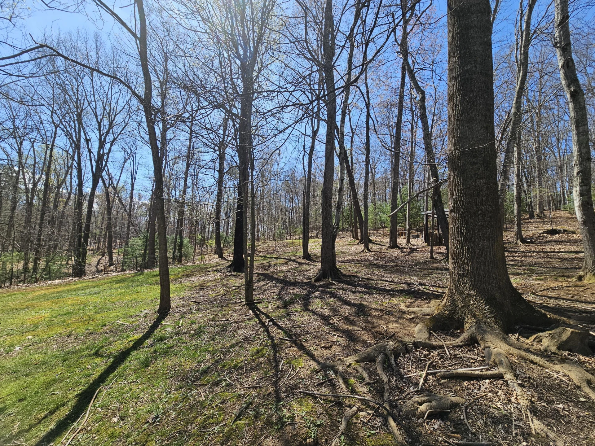 4357 Plank Rd - Photo 80