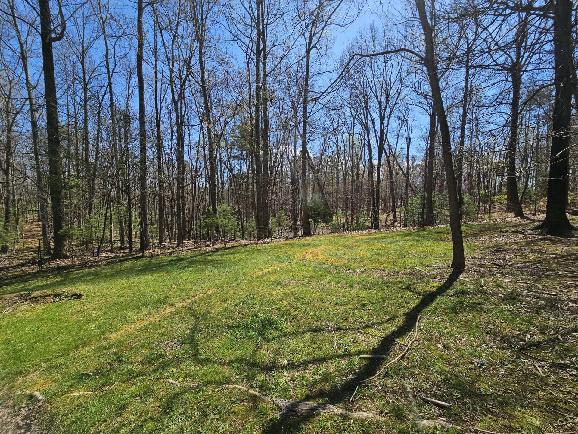 4357 Plank Rd - Photo 81