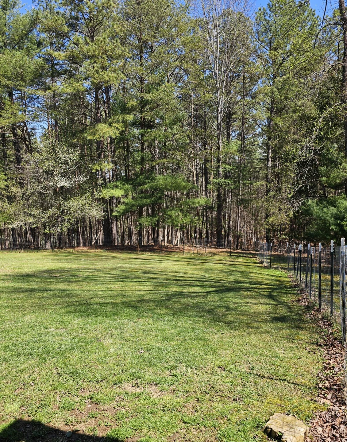 4357 Plank Rd - Photo 85