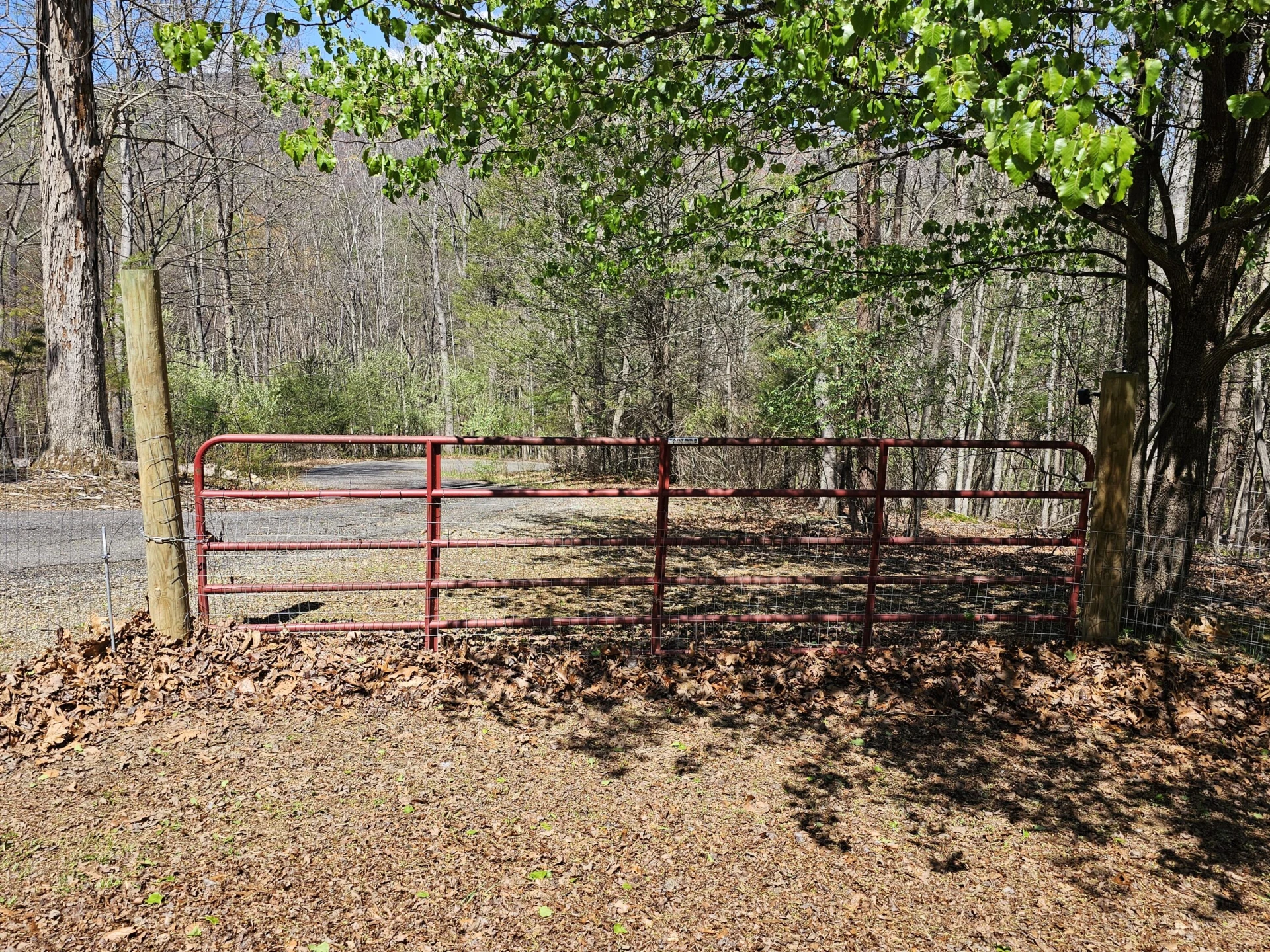 4357 Plank Rd - Photo 86