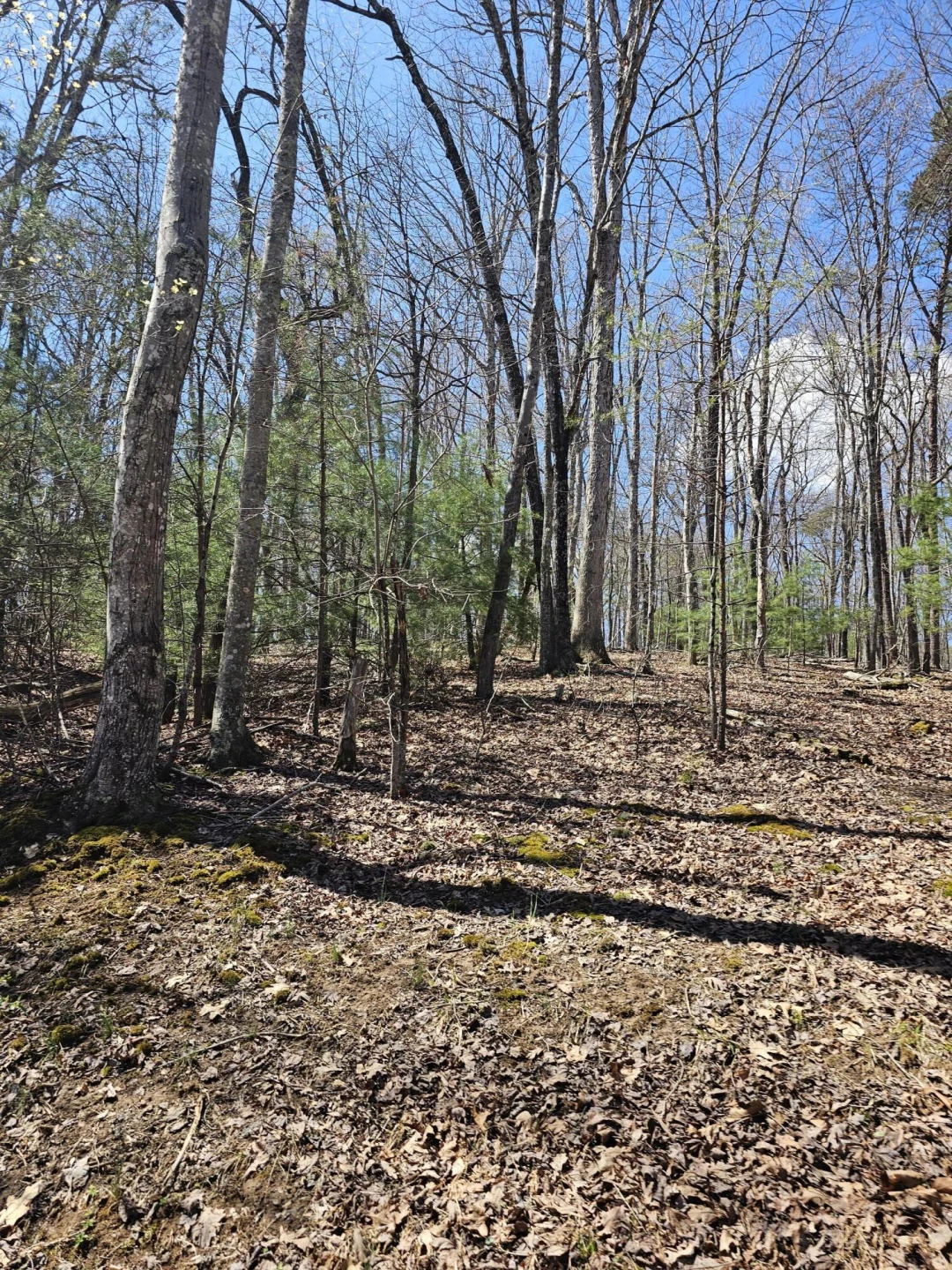 4357 Plank Rd - Photo 88