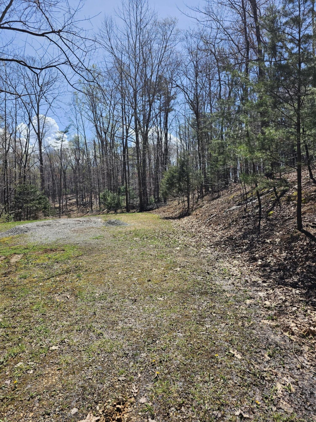 4357 Plank Rd - Photo 89