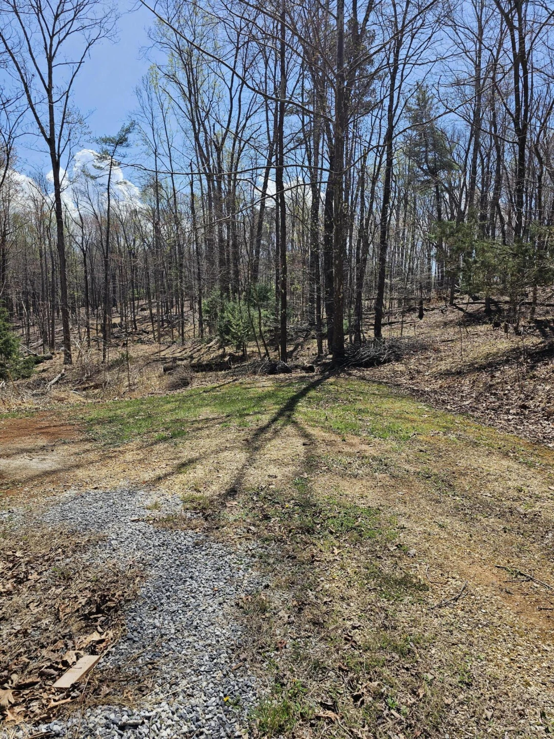 4357 Plank Rd - Photo 90