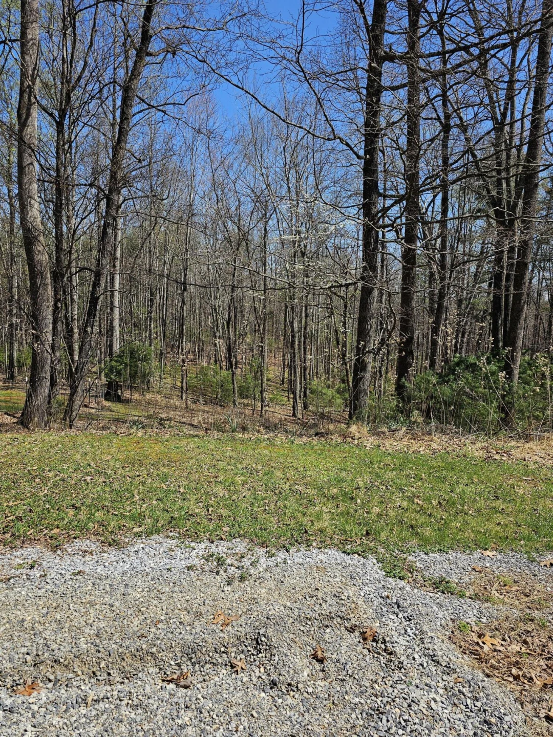 4357 Plank Rd - Photo 91