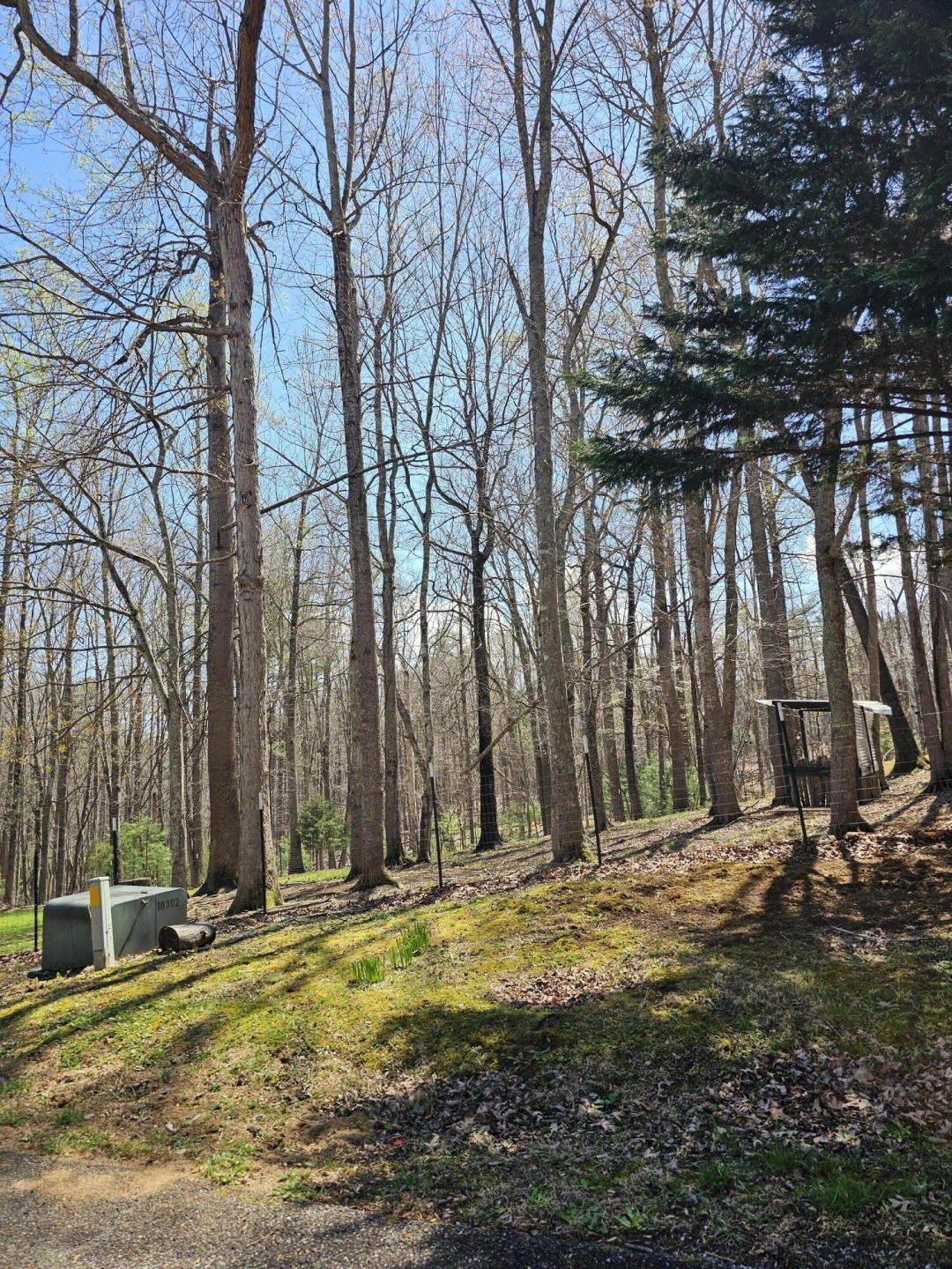 4357 Plank Rd - Photo 94