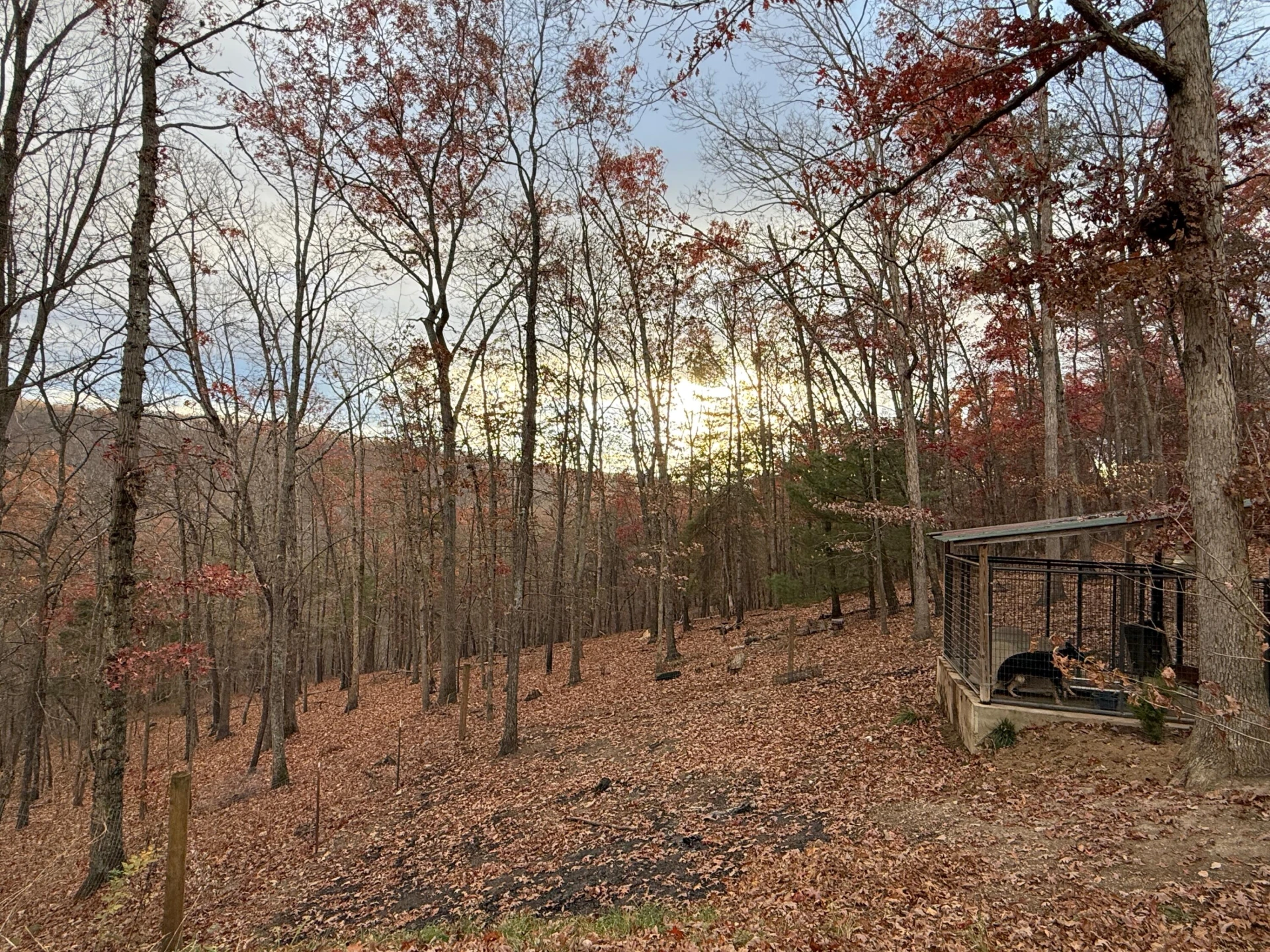 1311 Cherokee Trl - Photo 35