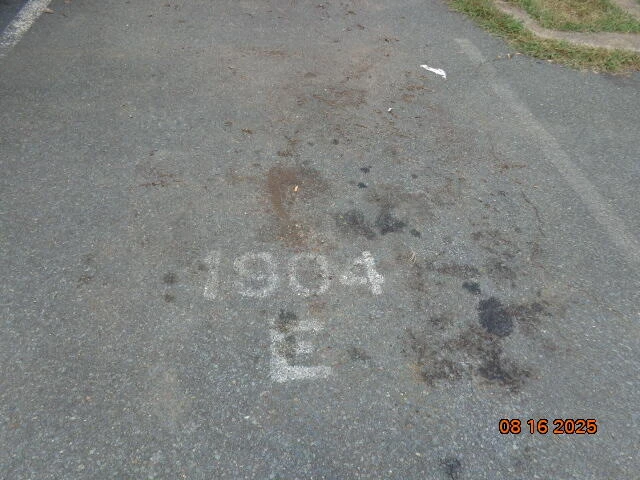1904 Inglewood Dr #E - Photo 25