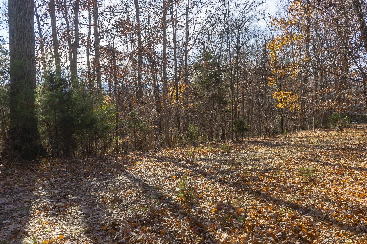 5.67 Acres Still Waters Ln - Photo 2