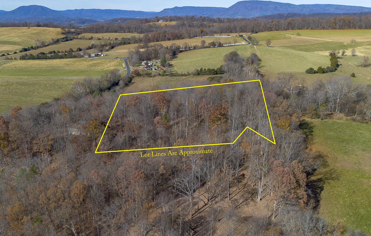 5.67 Acres Still Waters Ln - Photo 3