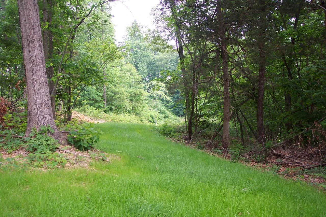 5.67 Acres Still Waters Ln - Photo 7