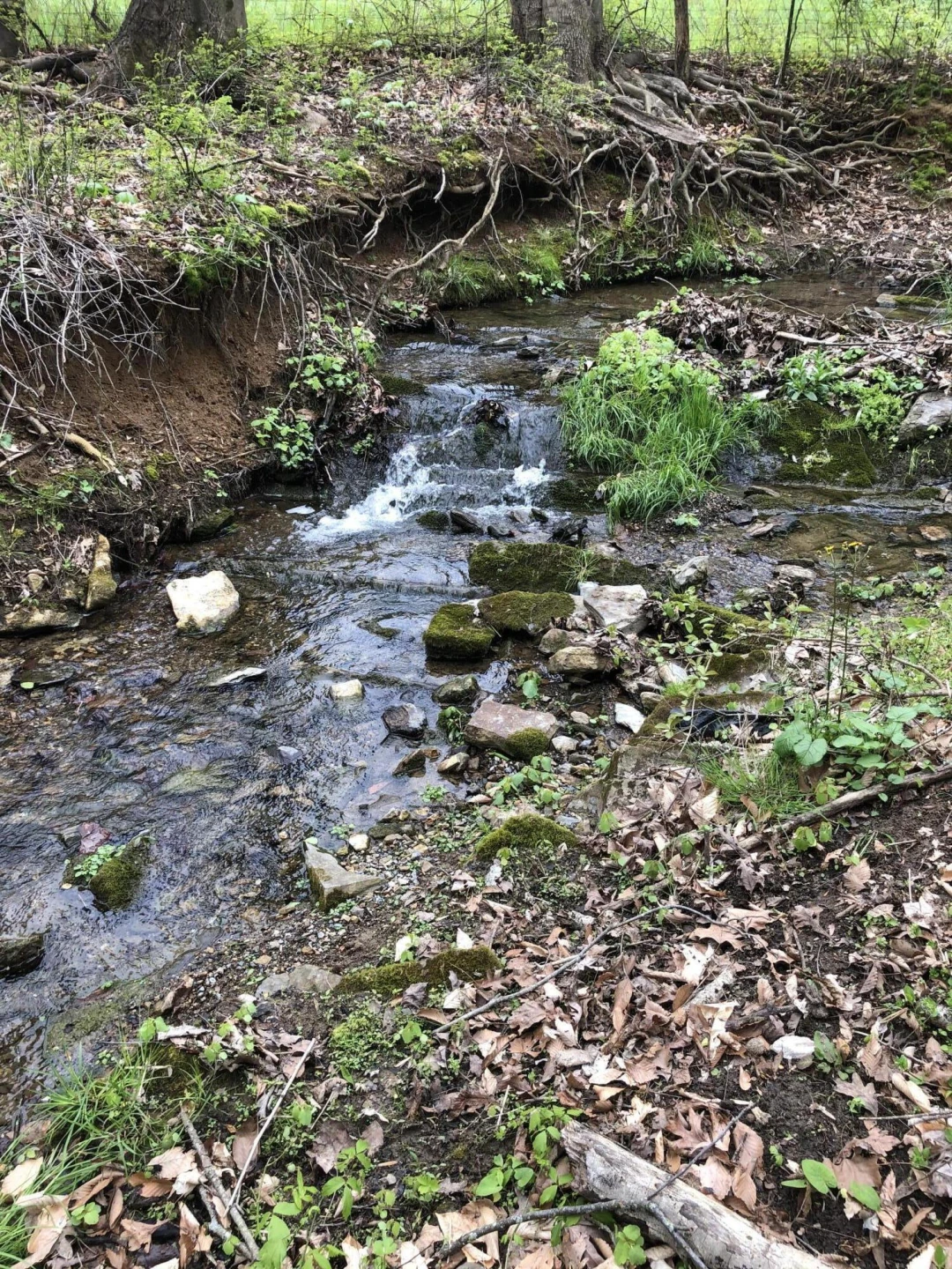 5.67 Acres Still Waters Ln - Photo 8