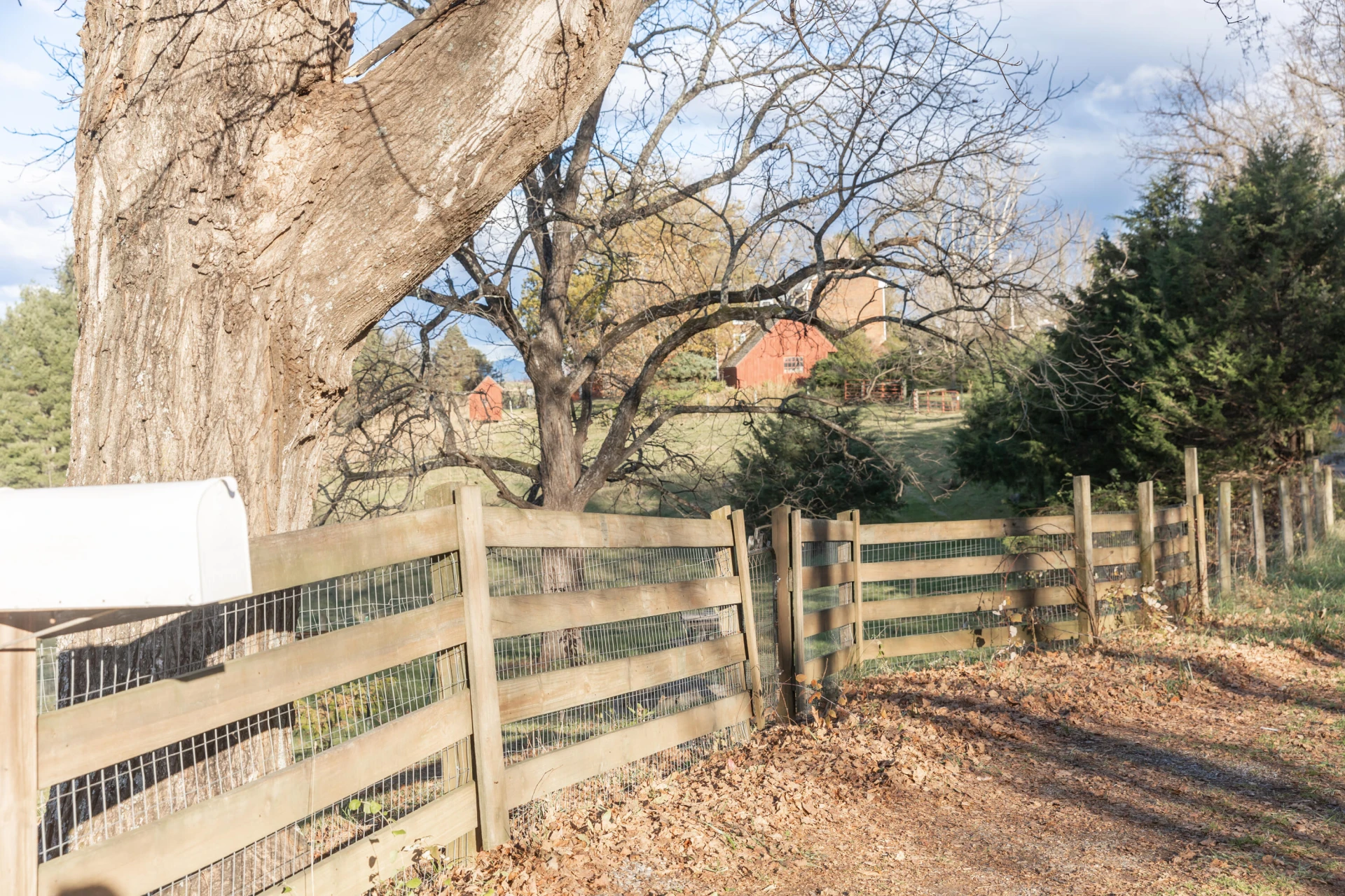 554 Herring Hall Rd - Photo 45