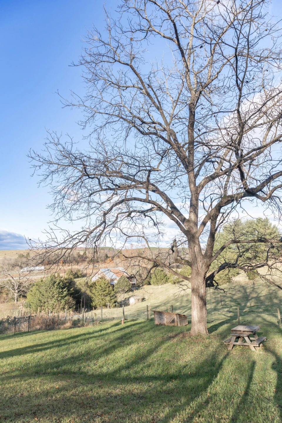 554 Herring Hall Rd - Photo 47