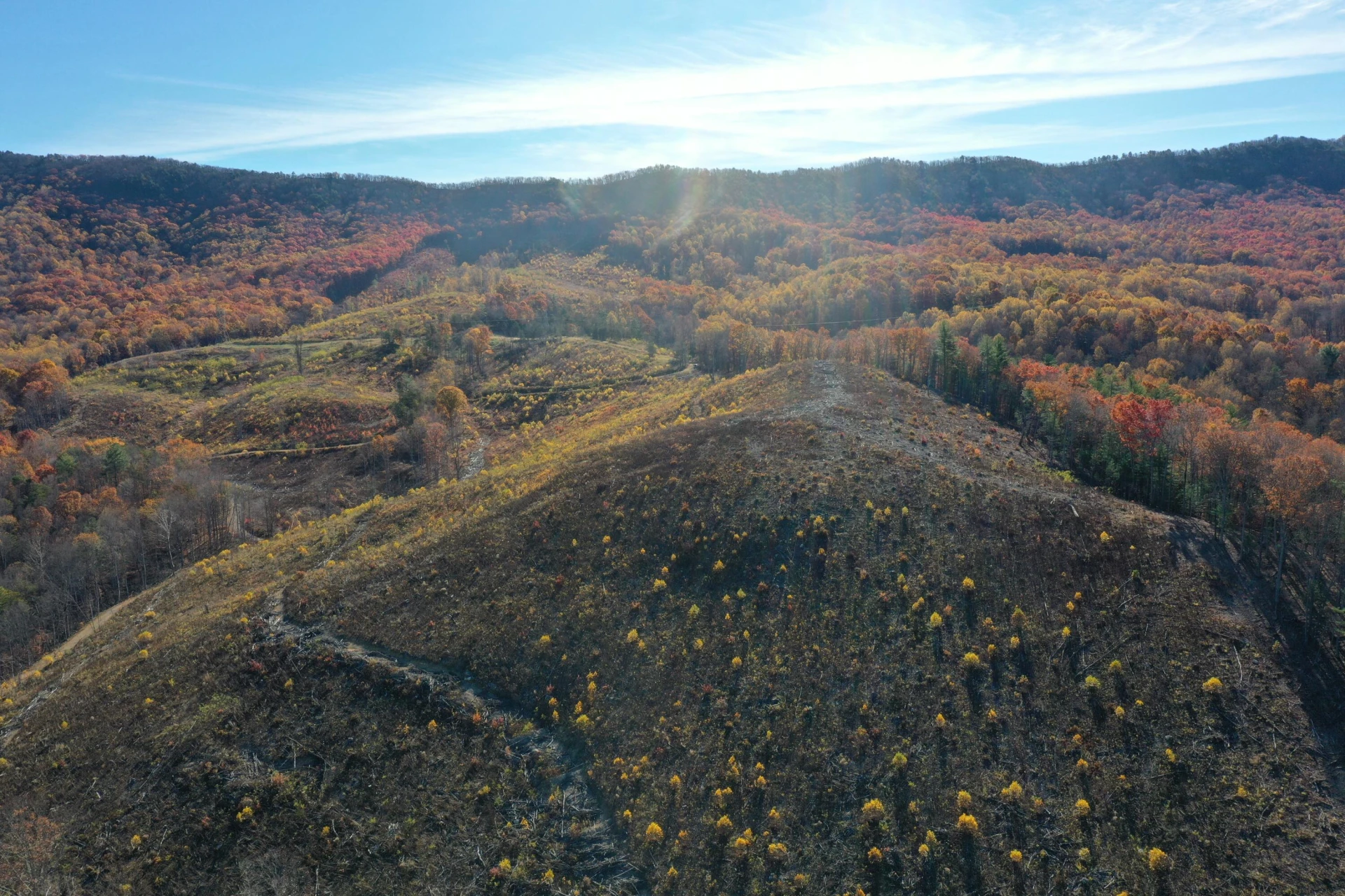 134 Ac. - South Buffalo Rd - Photo 2