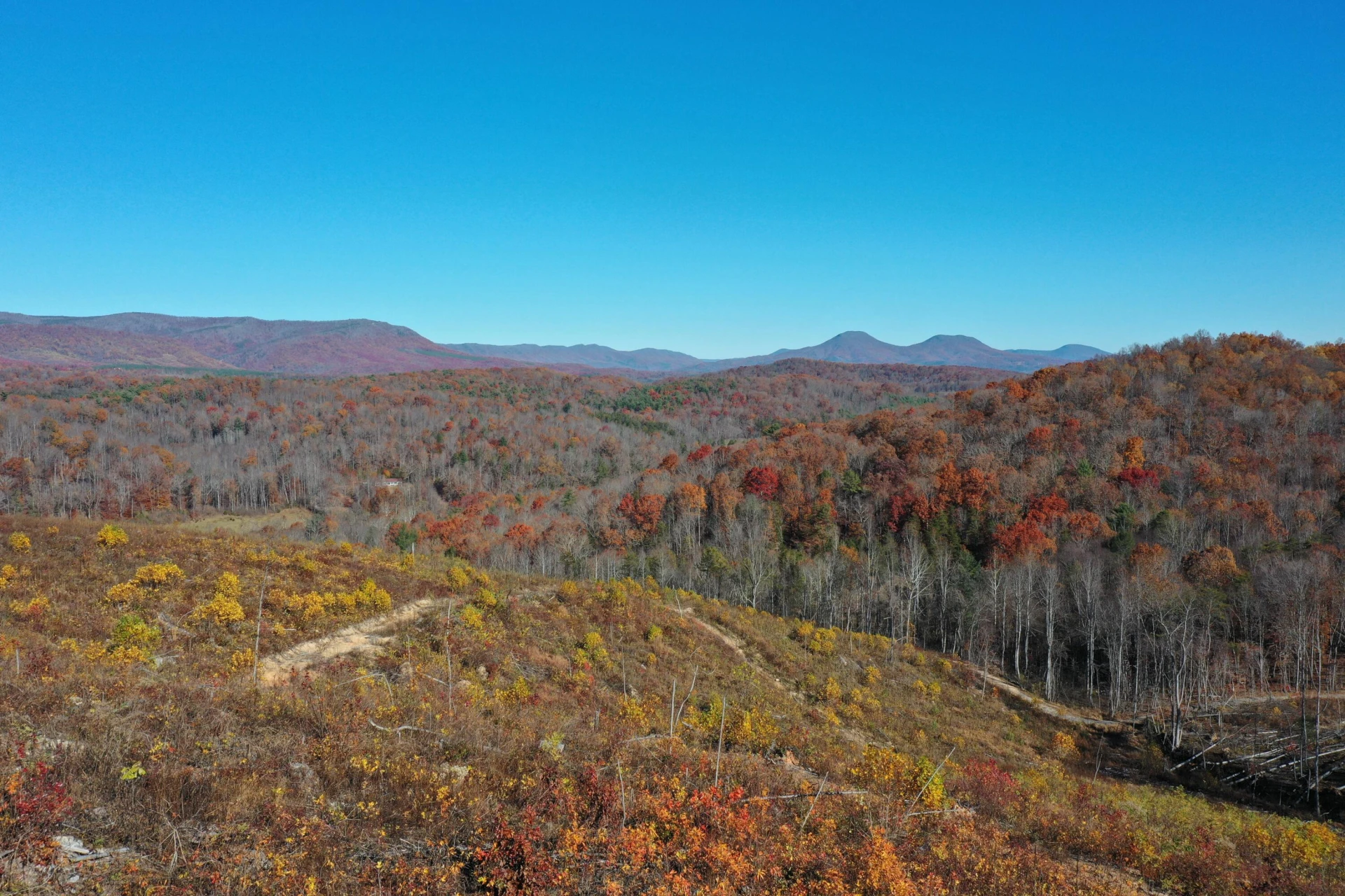 134 Ac. - South Buffalo Rd - Photo 4