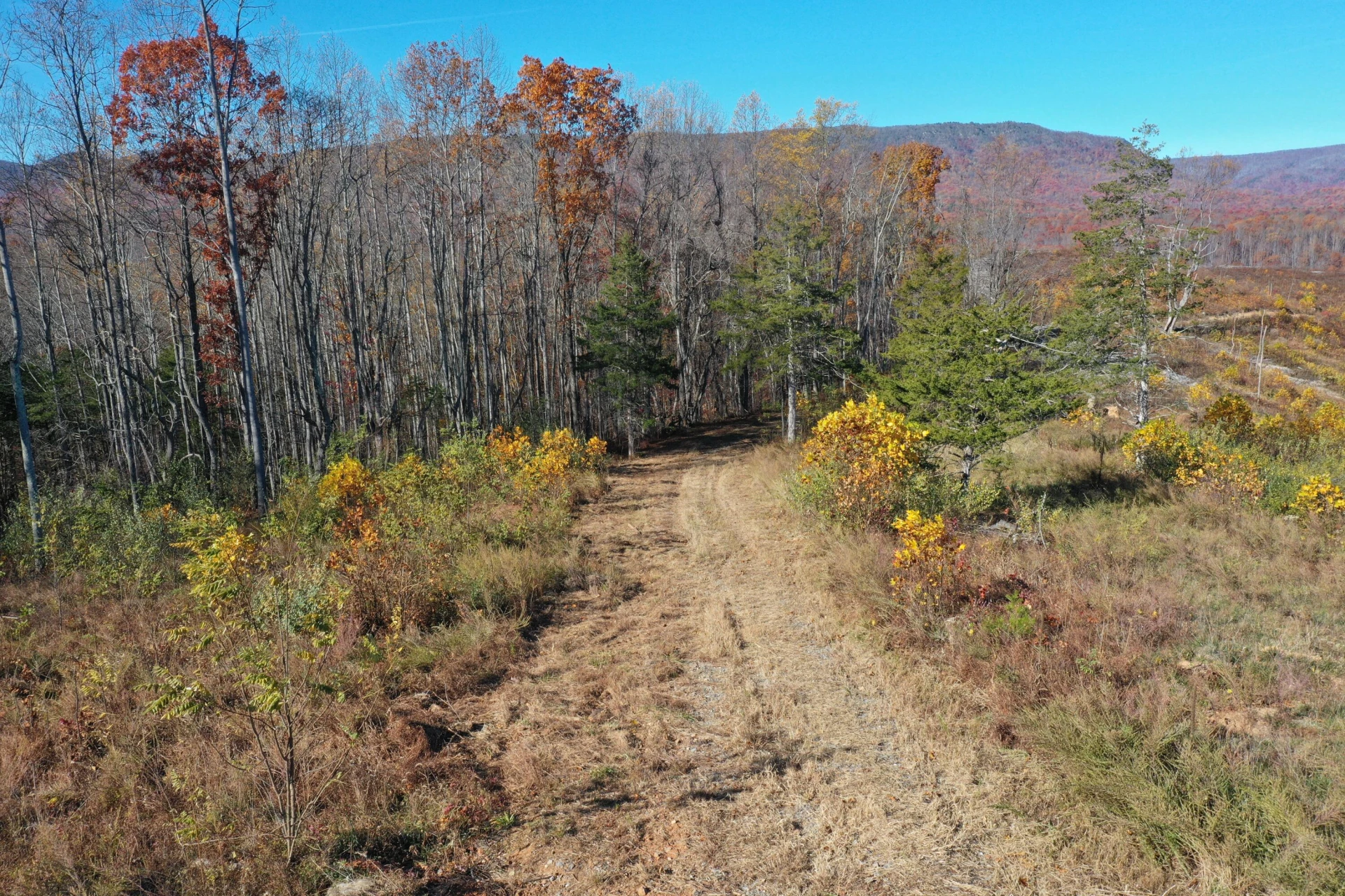 134 Ac. - South Buffalo Rd - Photo 9