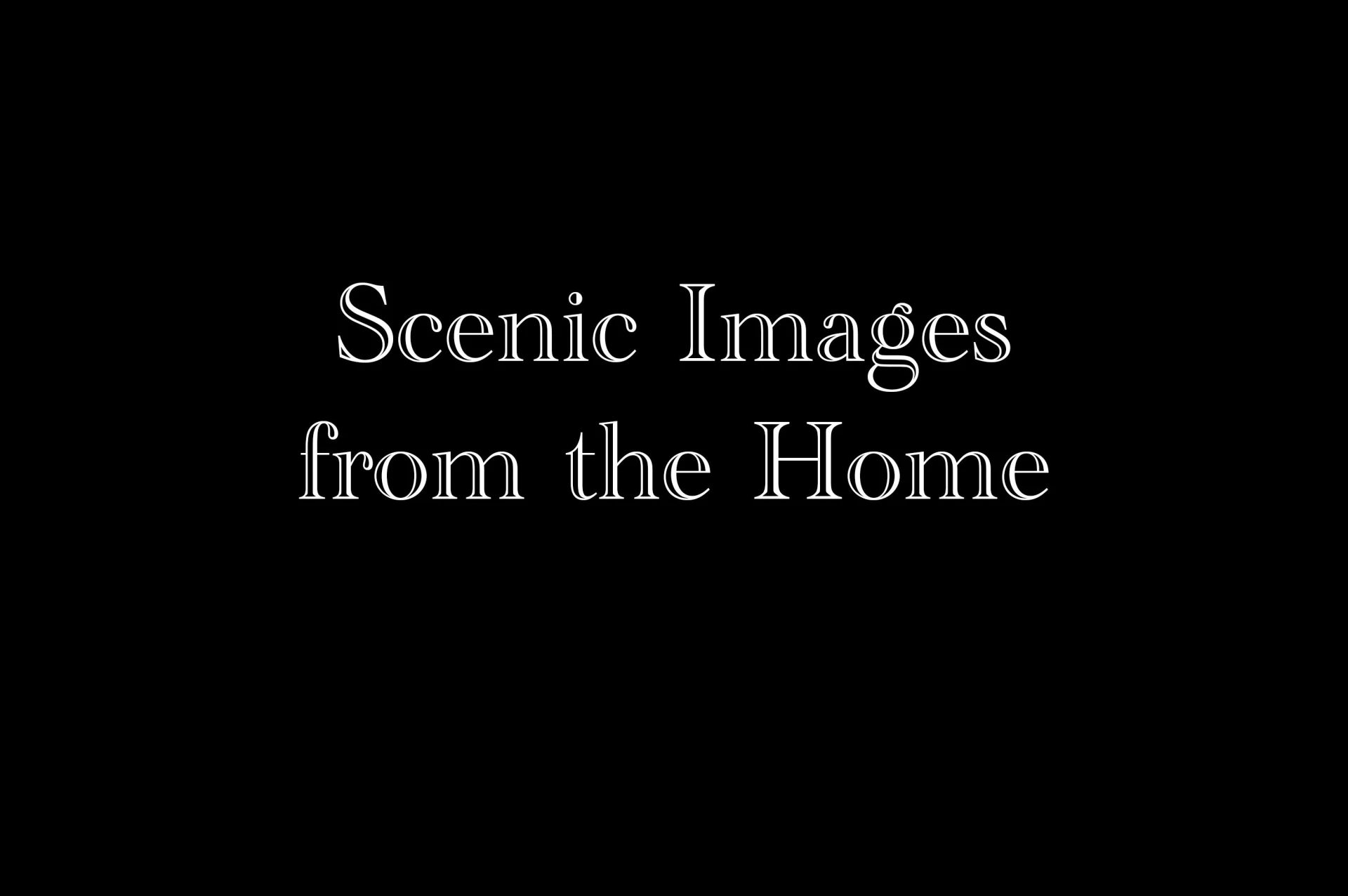 180 Longview Meadow Dr - Photo 64
