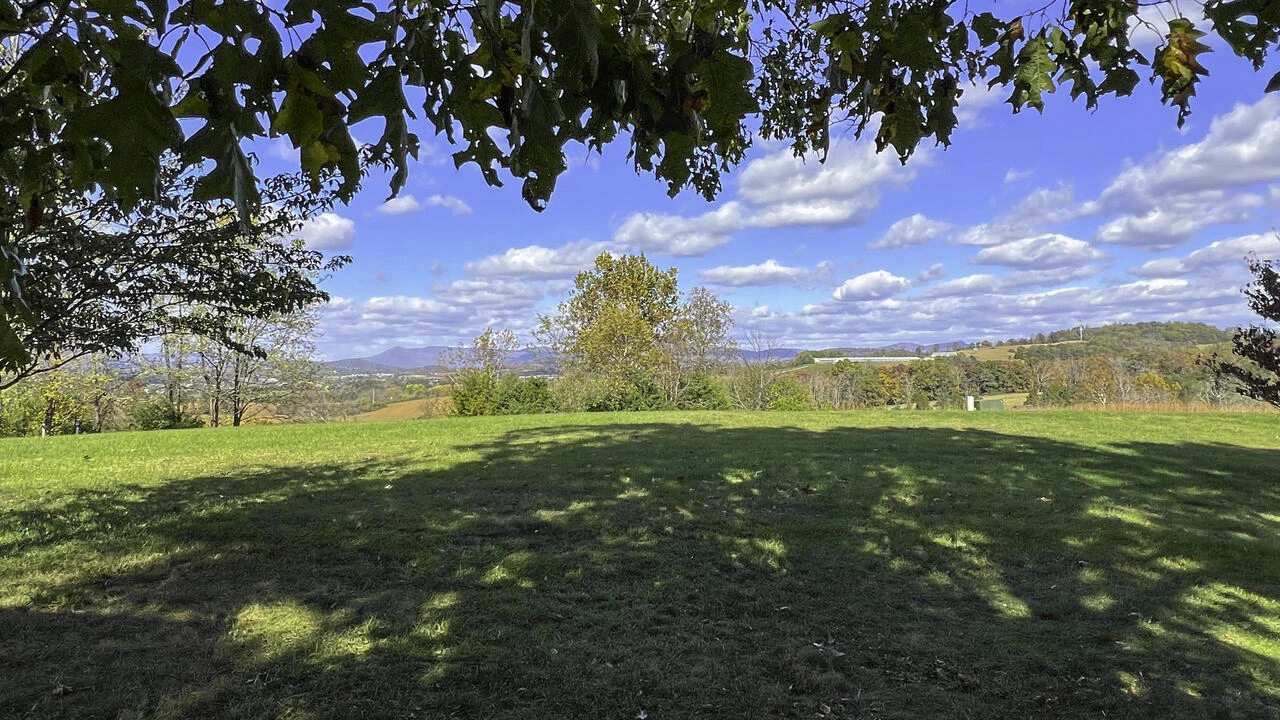180 Longview Meadow Dr - Photo 66