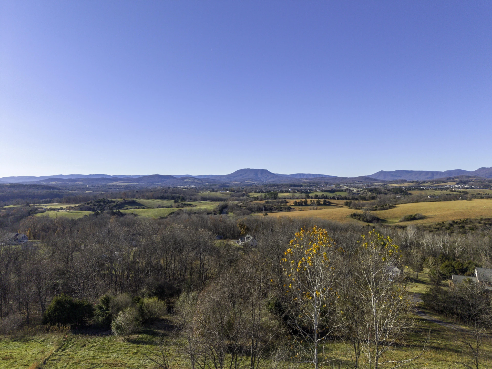 180 Longview Meadow Dr - Photo 9