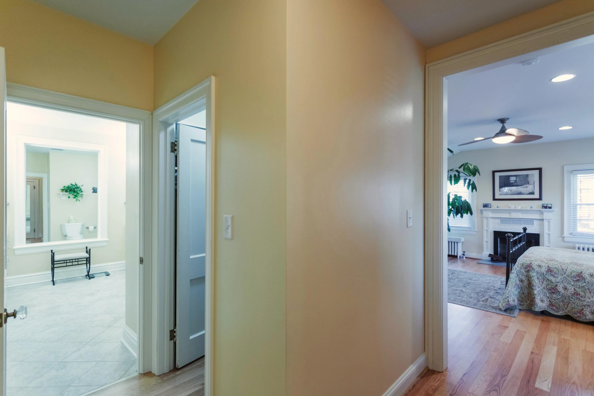 905 Thornhill Rd - Photo 19