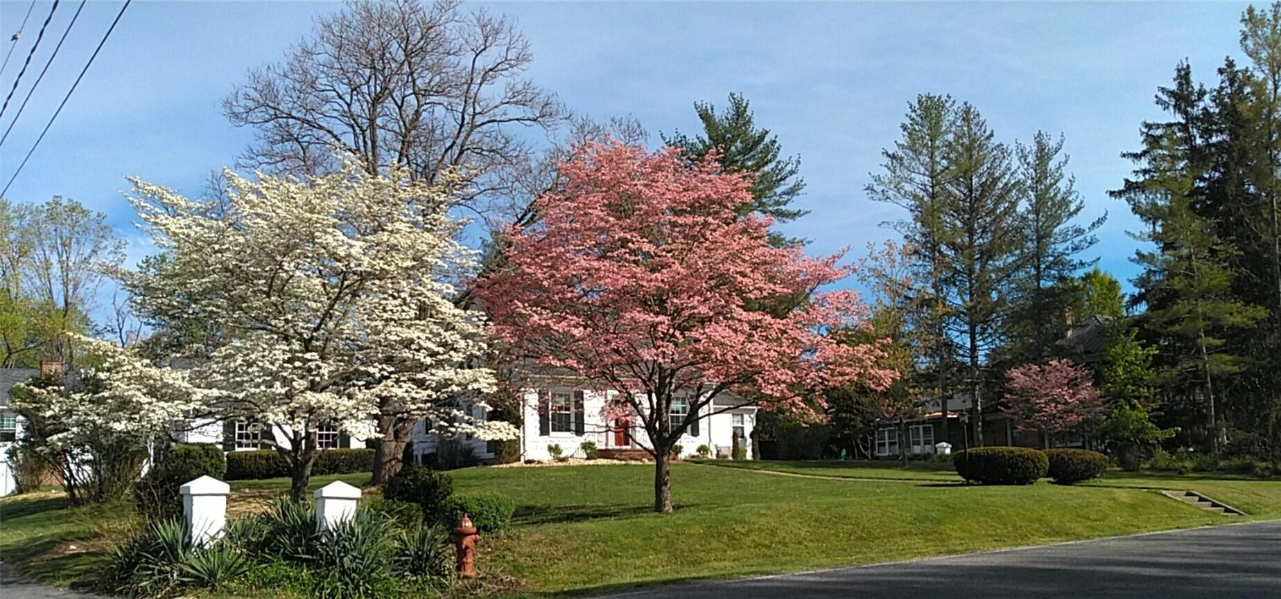 905 Thornhill Rd - Photo 54