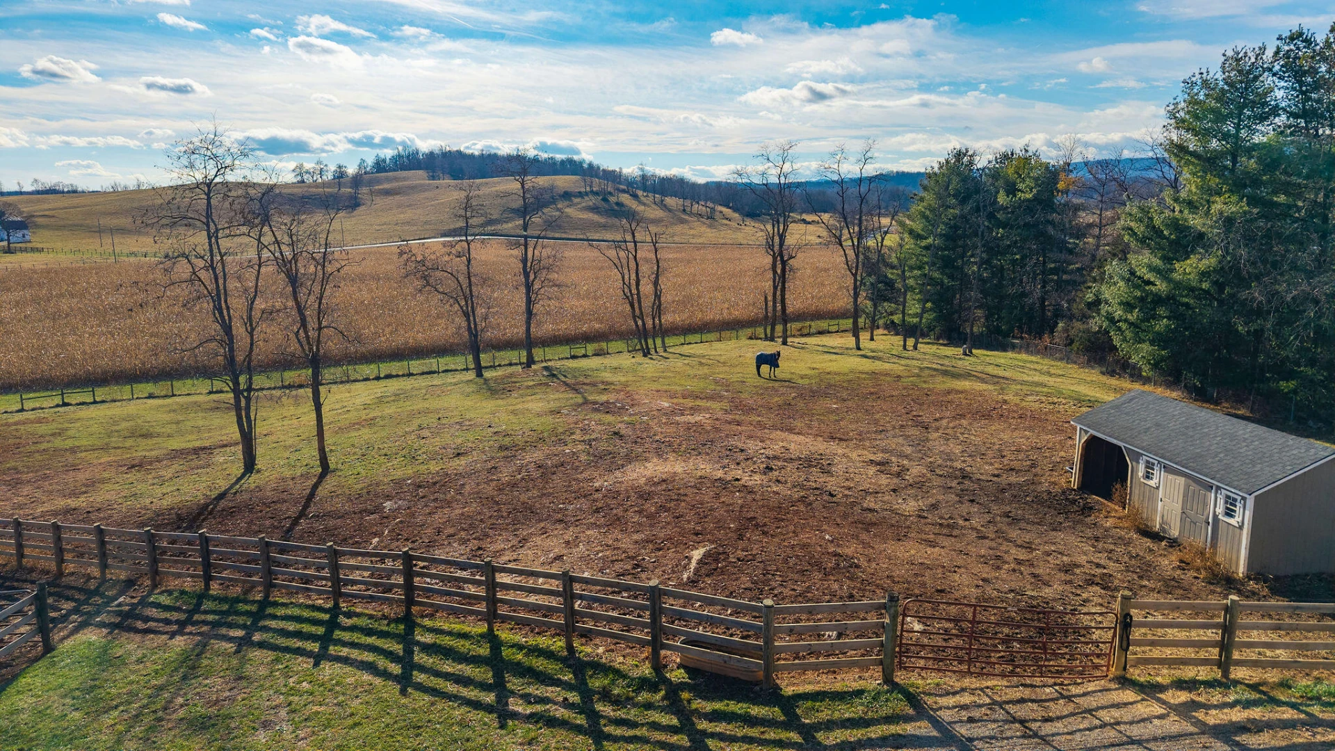 129 Shemariah Rd - Photo 46
