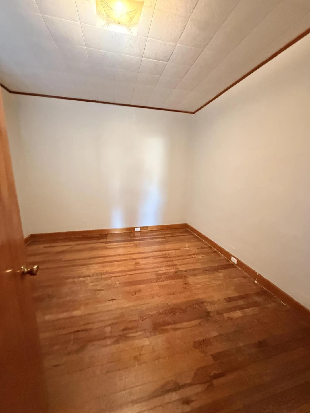 529 Brussels Ave - Photo 12