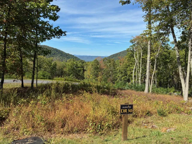 DR #50 North Forest Trl, Hot Springs, VA, 24445
