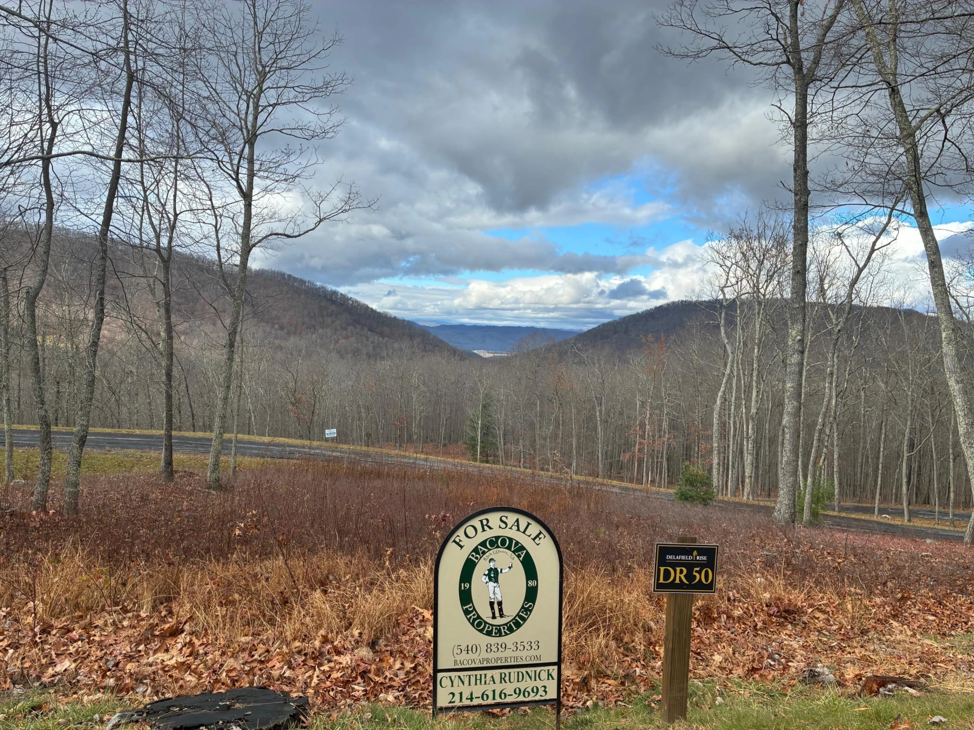 DR #50 North Forest Trl - Photo 2
