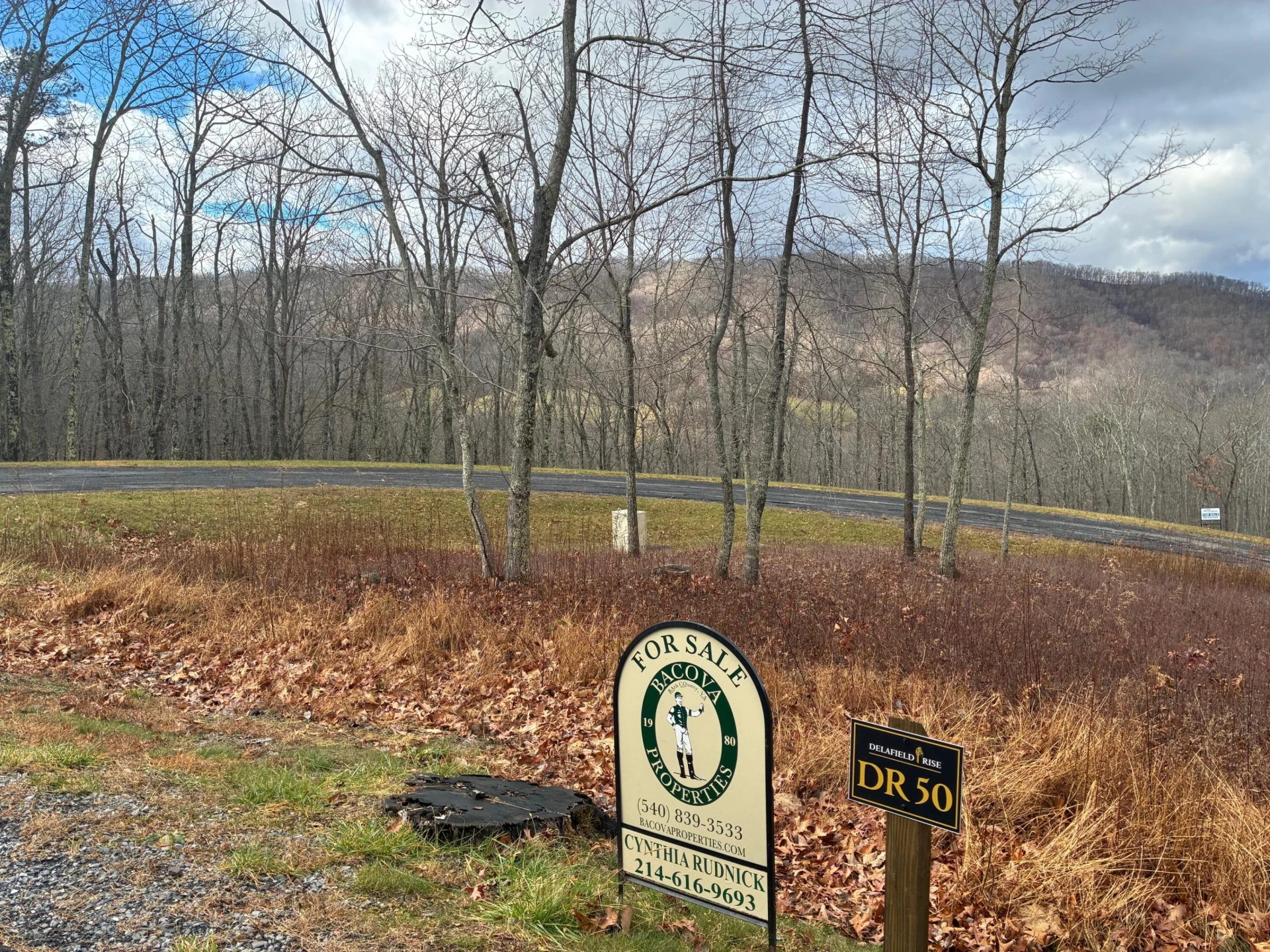 DR #50 North Forest Trl - Photo 3