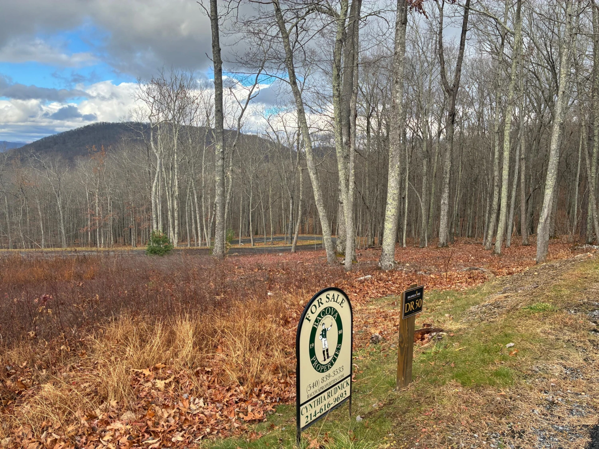 DR #50 North Forest Trl - Photo 4