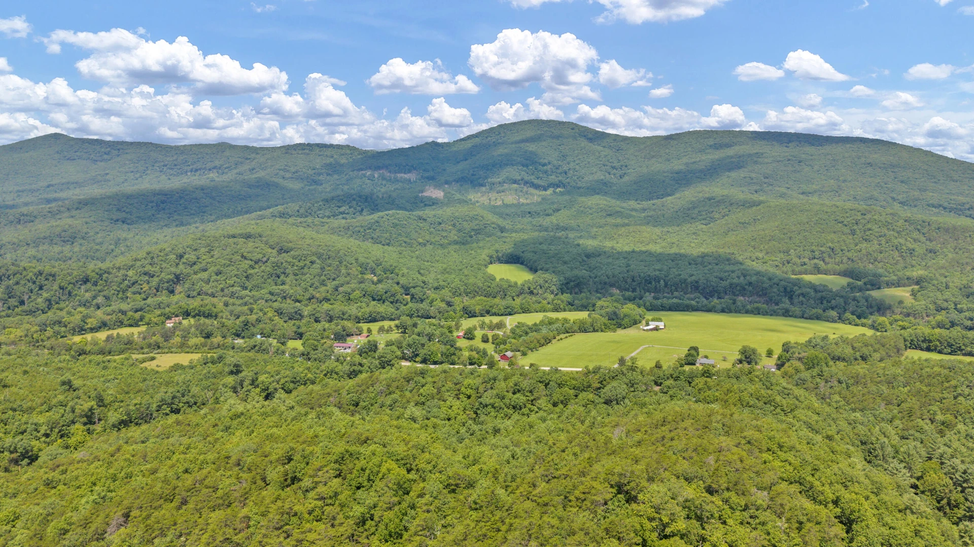 308 Crowder Hollow Rd - Photo 42