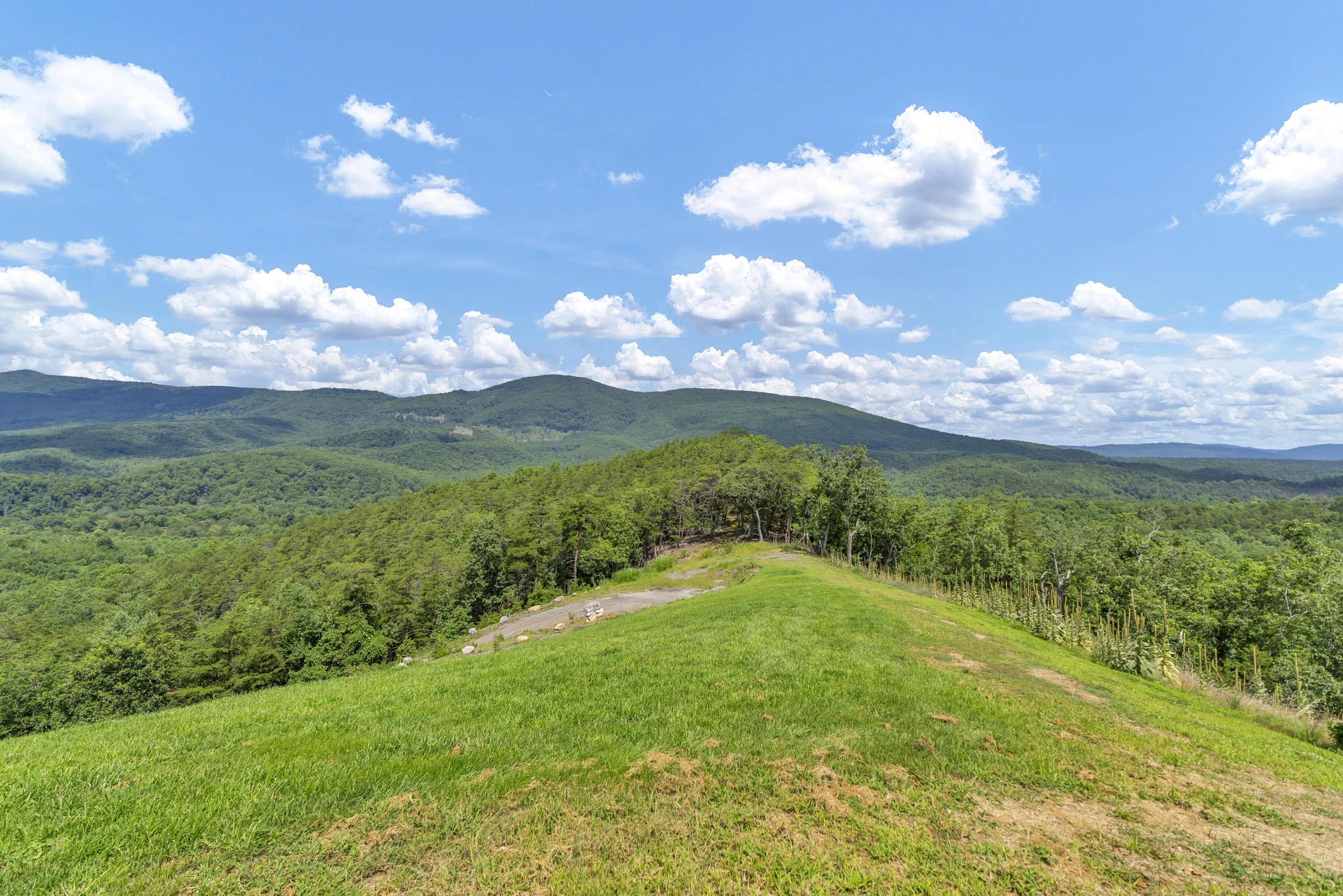 308 Crowder Hollow Rd - Photo 46