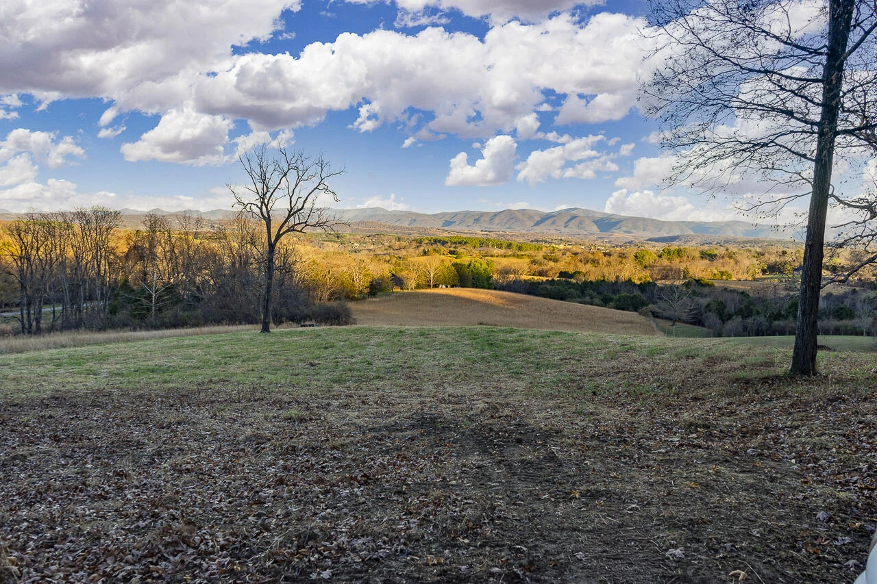 TBD Stonewood Trace - Photo 5