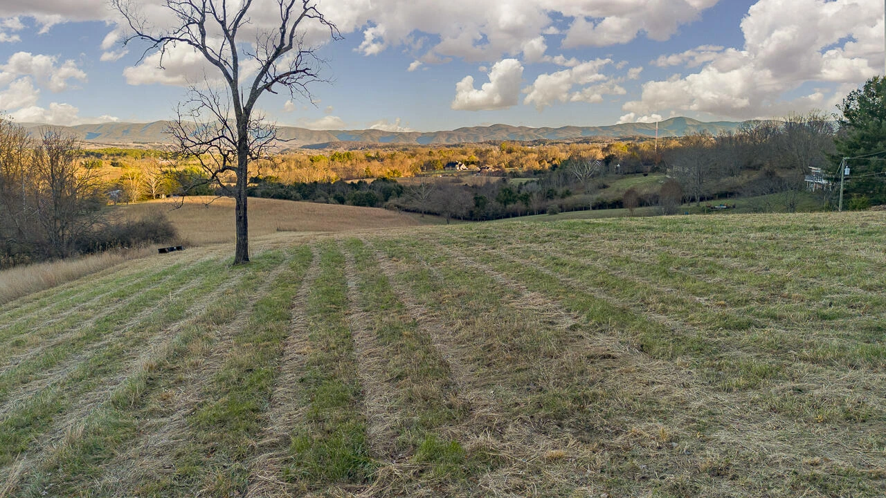TBD Stonewood Trace - Photo 10