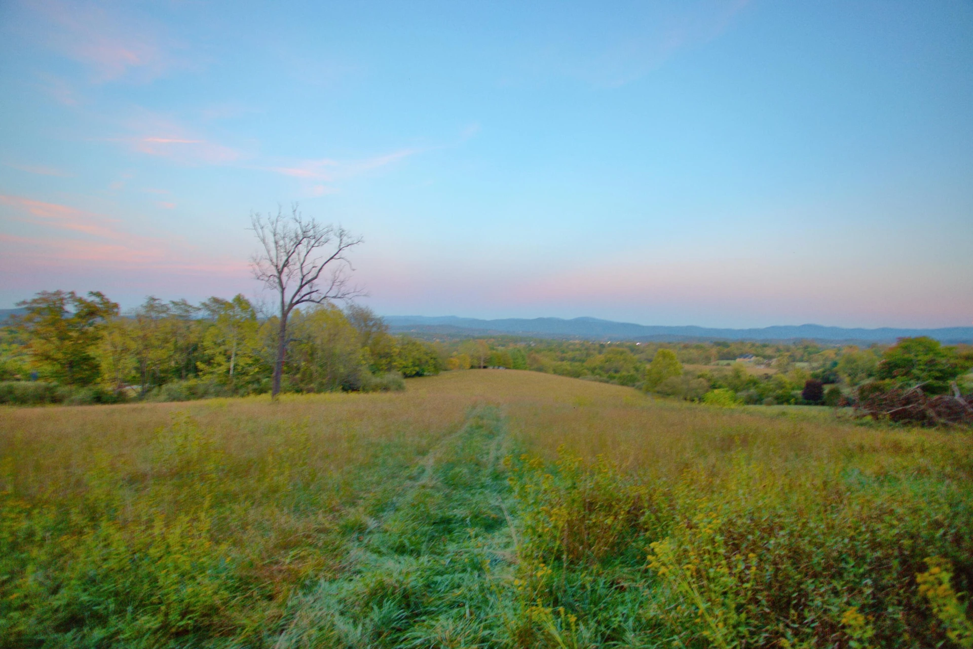 TBD Stonewood Trace - Photo 2