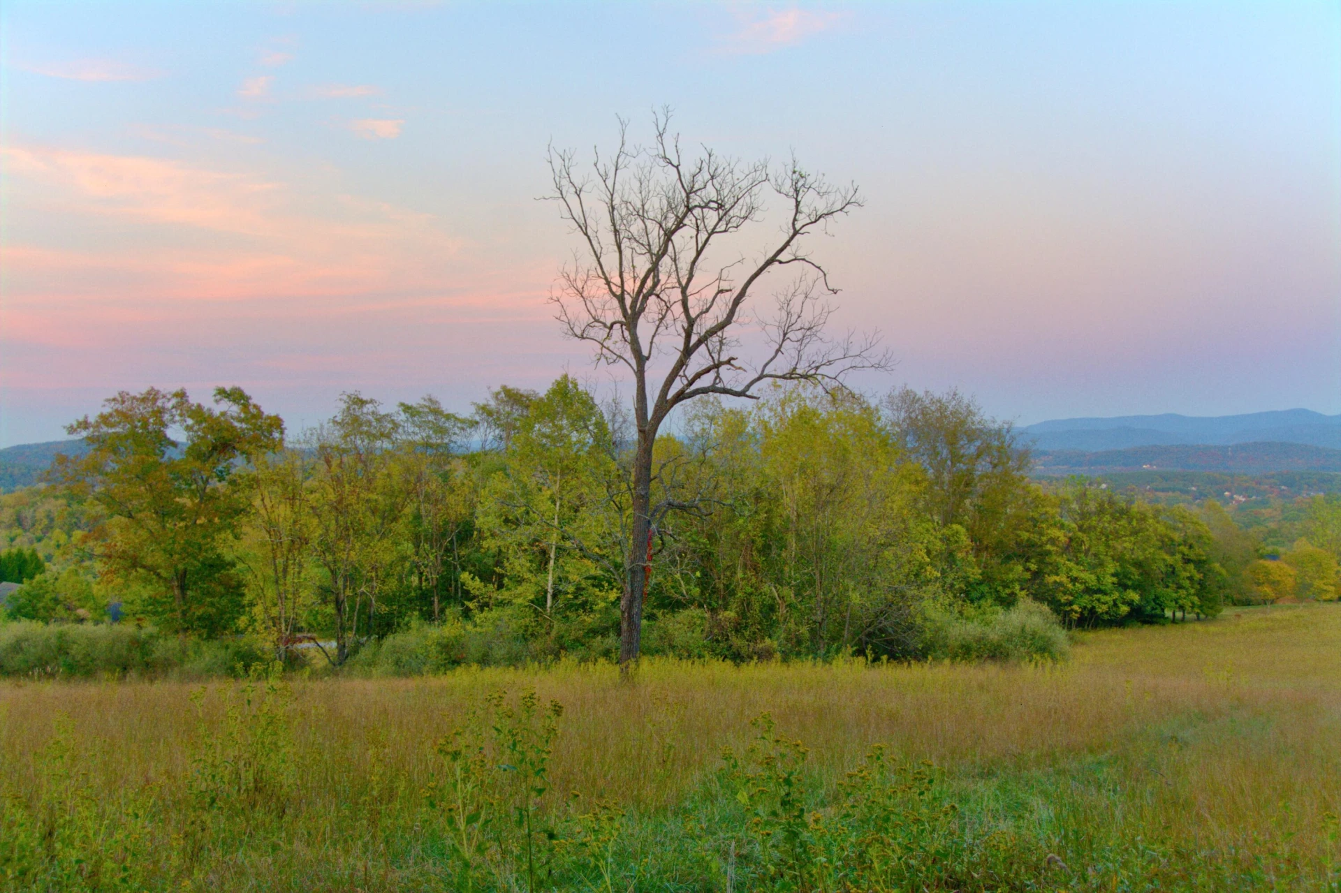 TBD Stonewood Trace - Photo 3