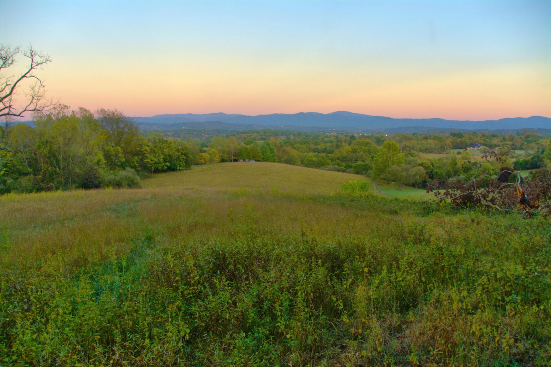 TBD Stonewood Trace - Photo 14