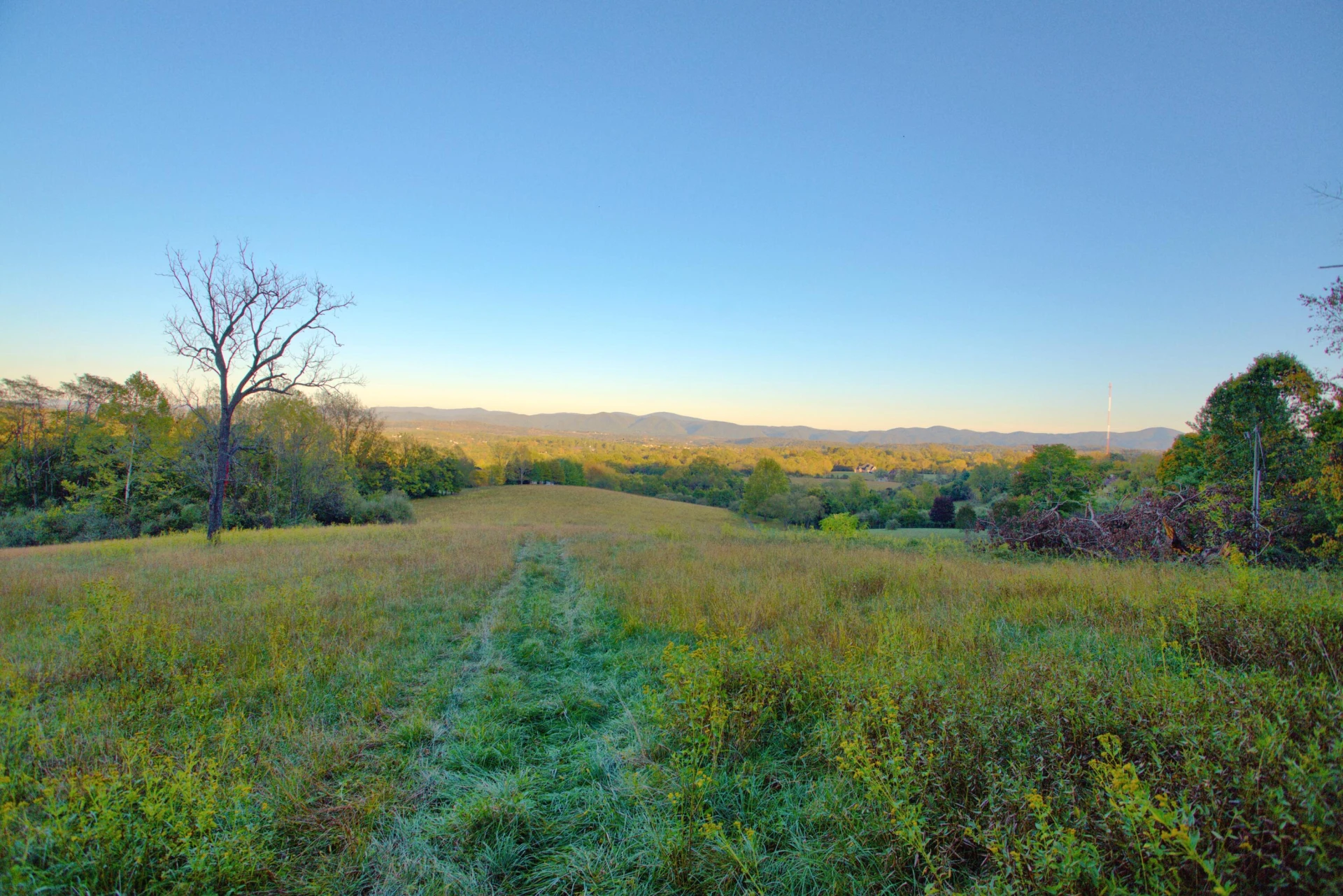 TBD Stonewood Trace - Photo 16