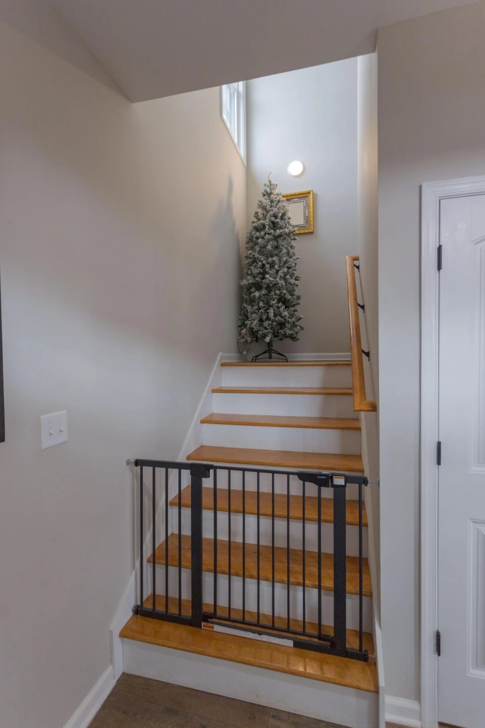55 Triple Crown Dr - Photo 11