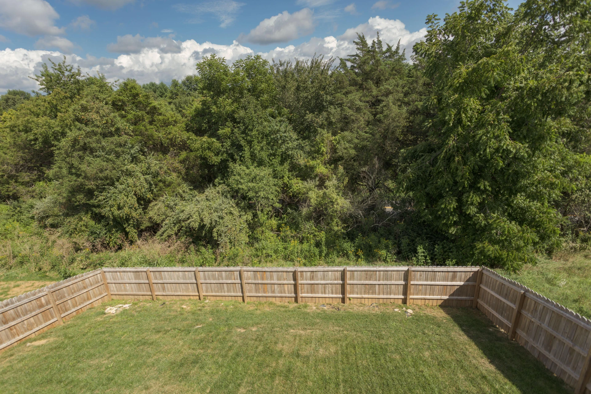 55 Triple Crown Dr - Photo 26