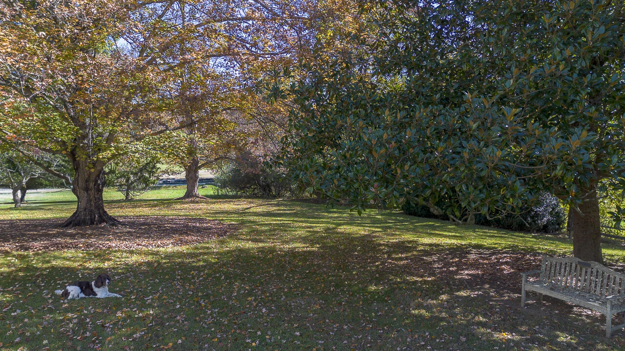 62 Cliffnell Ln - Photo 52