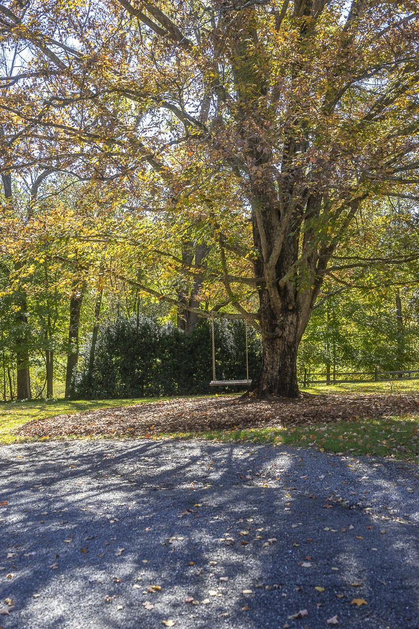 62 Cliffnell Ln - Photo 54