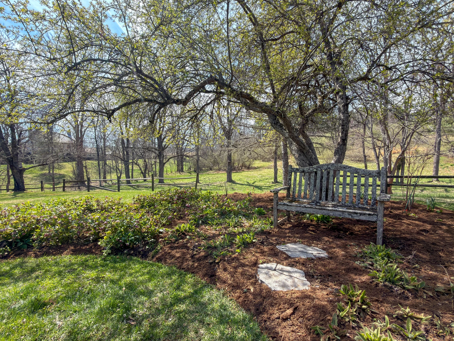 62 Cliffnell Ln - Photo 59